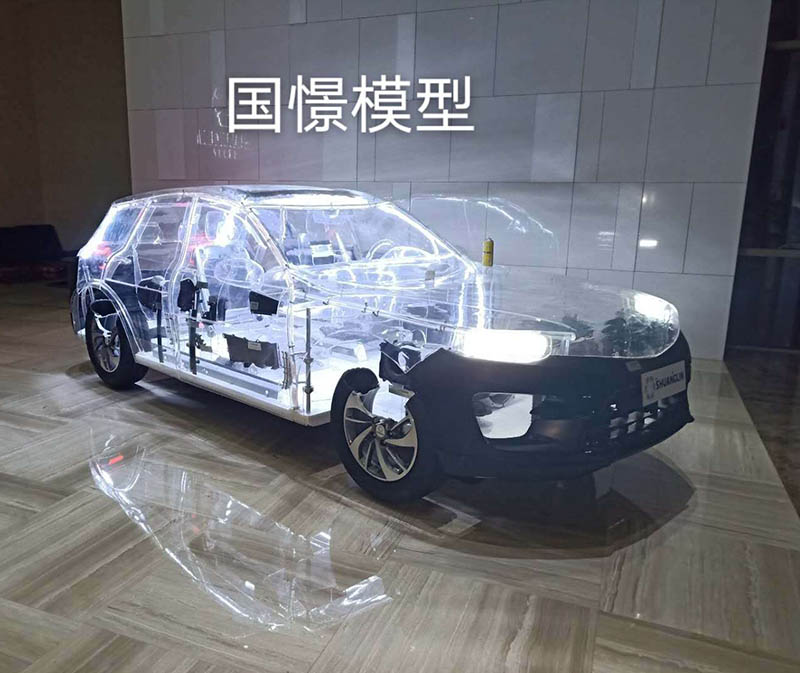 陵水透明车模型